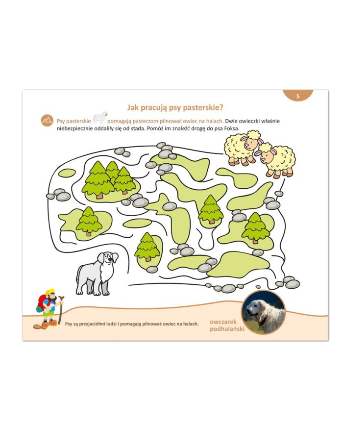 Z Kajetanem ruszaj śmiało POZNAJ POLSKĘ całą!