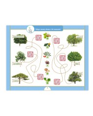 Z Olimpkiem na tropach PRZYRODY - Magiczny klucz!