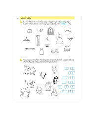 ĆWICZENIA słownikowe, ortograficzne i gramatyczne | klasa 1