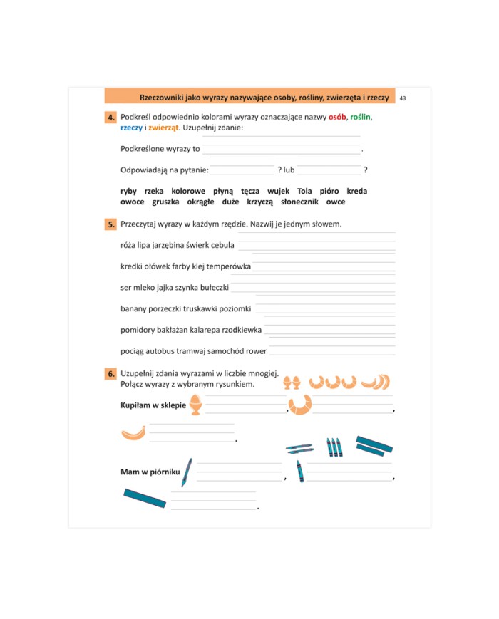 ĆWICZENIA słownikowe, ortograficzne i gramatyczne | klasa 1