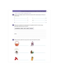 ĆWICZENIA słownikowe, ortograficzne i gramatyczne | klasa 3