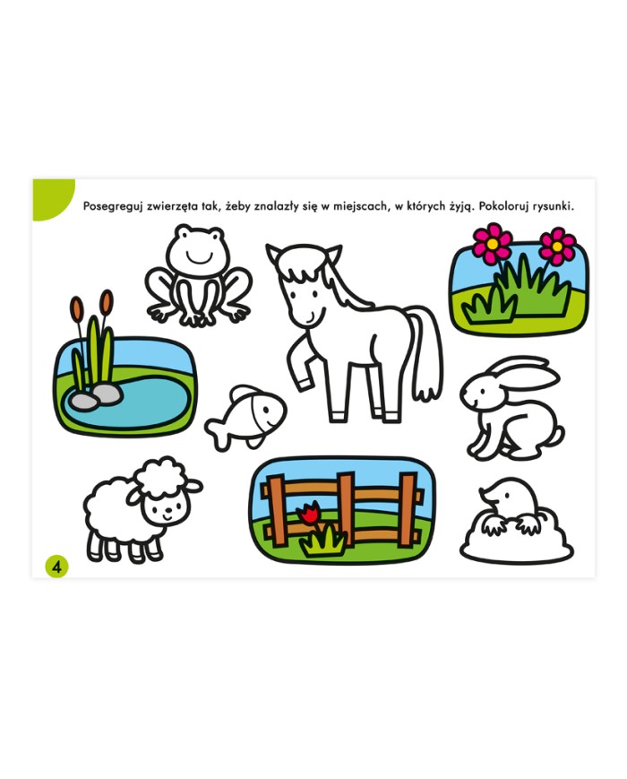 SZABLONY do obrysowywania ZWIERZĘTA