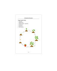 Ściąga - przyroda na progu czwartej klasy