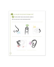 Przystanek przyroda klasa 1