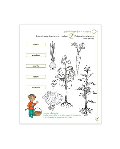 Przystanek przyroda klasa 1