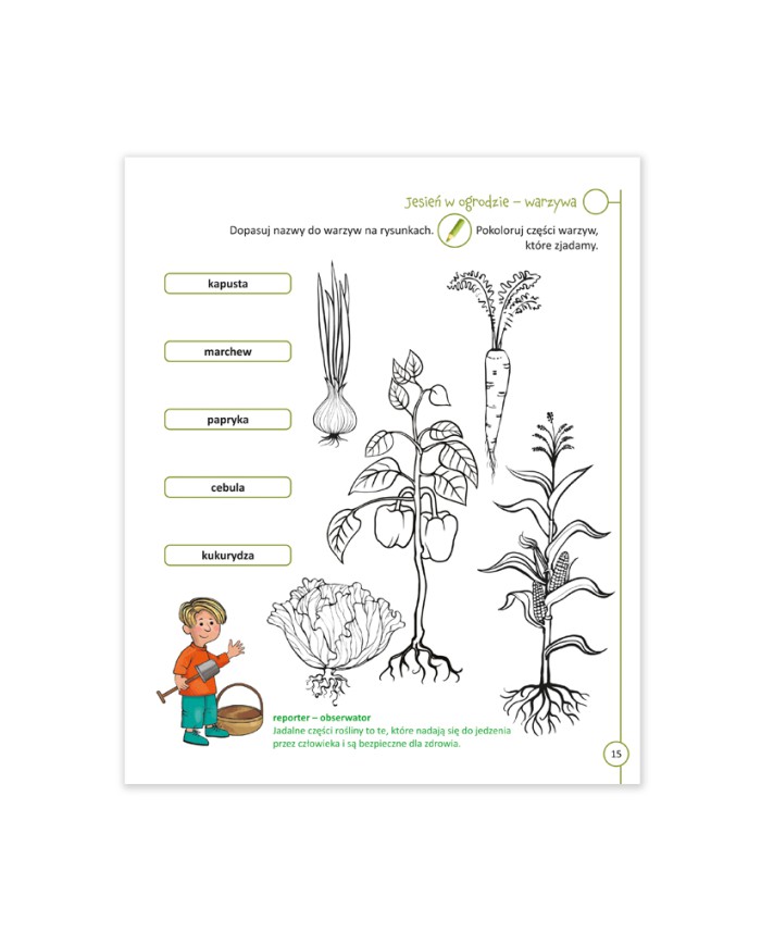 Przystanek przyroda klasa 1