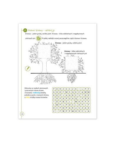 Przystanek przyroda klasa 1