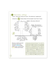 Przystanek przyroda klasa 1