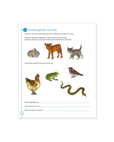 Przystanek przyroda klasa 3