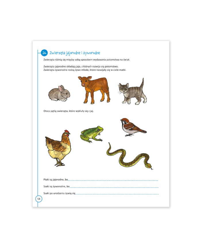 Przystanek przyroda klasa 3