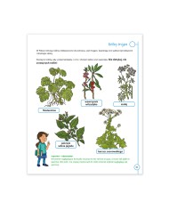 Przystanek przyroda klasa 3