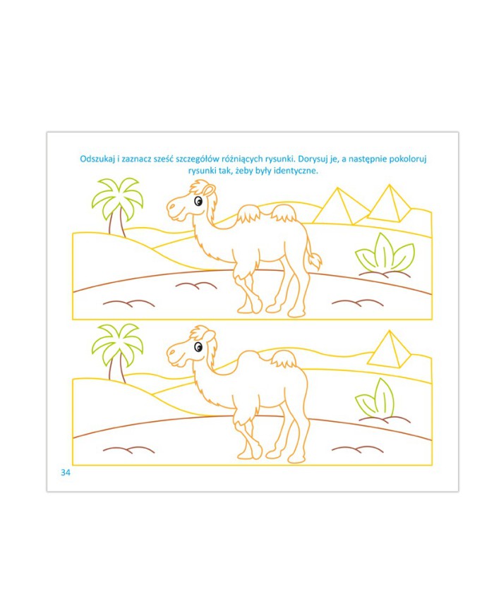 WZORY I SZLACZKI | książeczka z KALKĄ!