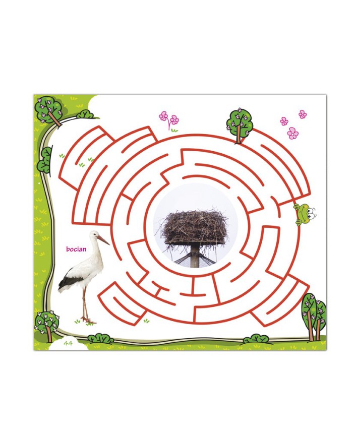 ZIELONI DETEKTYWI ...mali, lecz dociekliwi!   1 klasa