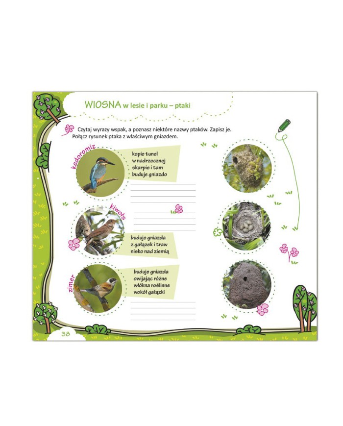 ZIELONI DETEKTYWI ...mali, lecz dociekliwi!   3 klasa