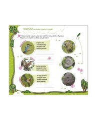 ZIELONI DETEKTYWI ...mali, lecz dociekliwi!   3 klasa