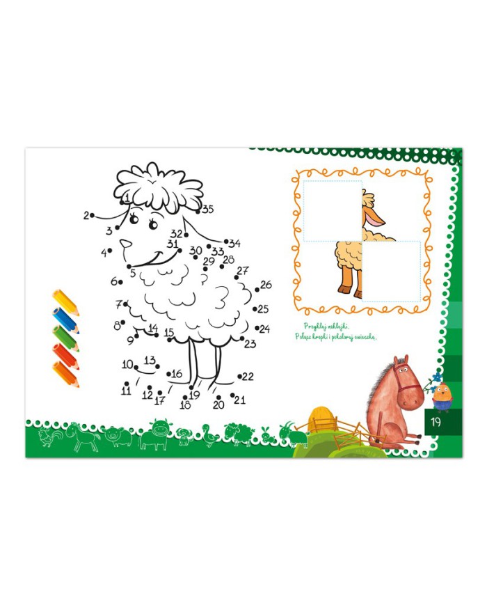 ZAGRODY i ich wygody