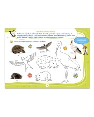 Profesor PRZYRODNIK TWÓJ pierwszy PRZEWODNIK